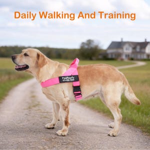 Personalisiertes Hundegeschirr mit Namen und Telefonnummer – Easy Walk Anti-Zug-Funktion mit Komfortbändern und atmungsaktivem Design mit Aufnäher