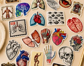 Juego de 50 pegatinas de anatomía retro – 50 pegatinas científicas vintage | Ilustraciones anatómicas y arte médico