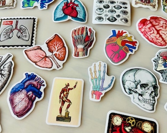 Juego de 50 pegatinas de anatomía retro – 50 pegatinas científicas vintage | Ilustraciones anatómicas y arte médico