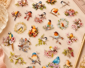 Juego de 50 pegatinas de pájaros – 50 pegatinas de pájaros en acuarela | Pájaros coloridos, decoración floral y estética