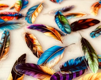 Juego de 100 pegatinas de plumas – 100 pegatinas de plumas coloridas | Decoración bohemia, natural y estética