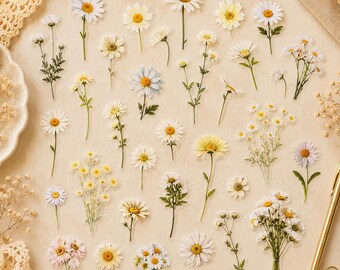 6 sheets of daisy stickers – floral decorations for journals, planners, craft projects, elementary school, kindergarten