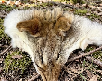 Adorno de sombrero decorativo DIY con forma de cuero cabelludo de lobo