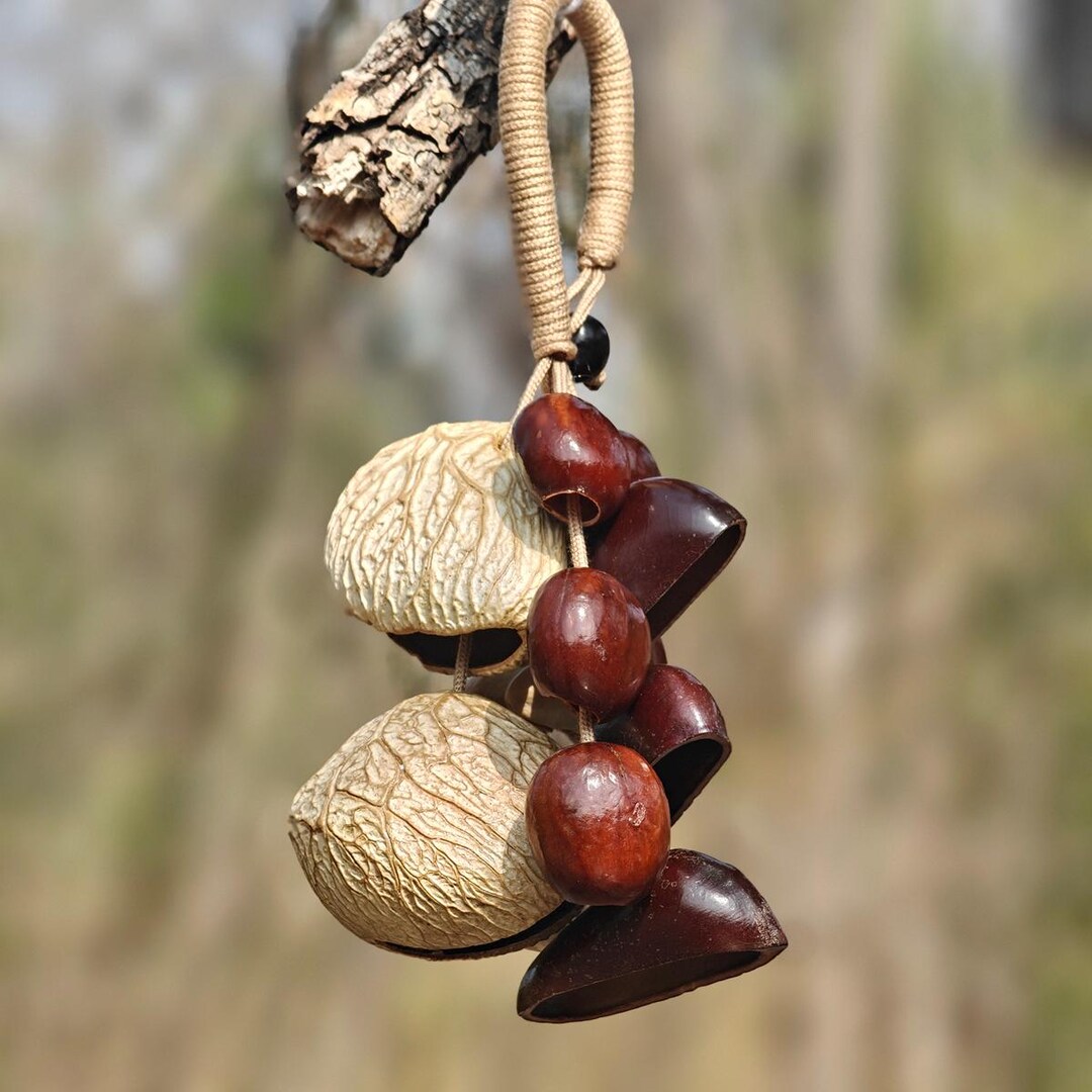 Tree Pod Rattle Pangi Pala Juju Seed Pod Rattle, Car Hanging Charm, Natural Wood Bag ...