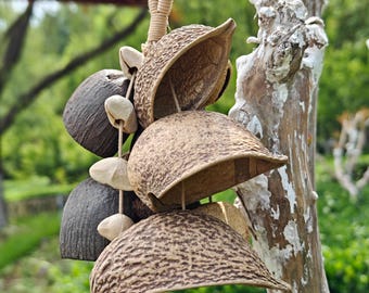 Sonajero de vainas de semillas mixtas definitivo, la mejor obra maestra de sanación sonora, 6 semillas exóticas, agitador de enredaderas tribales, regalo zen para sanadores.