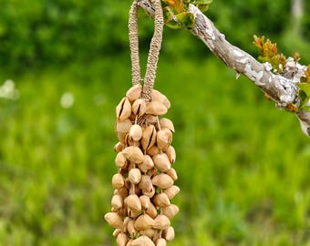 Chacha Seed Pod Rattle, 84 Seeds, Handwoven Vine Meditation Instrument, Tribal Percussion