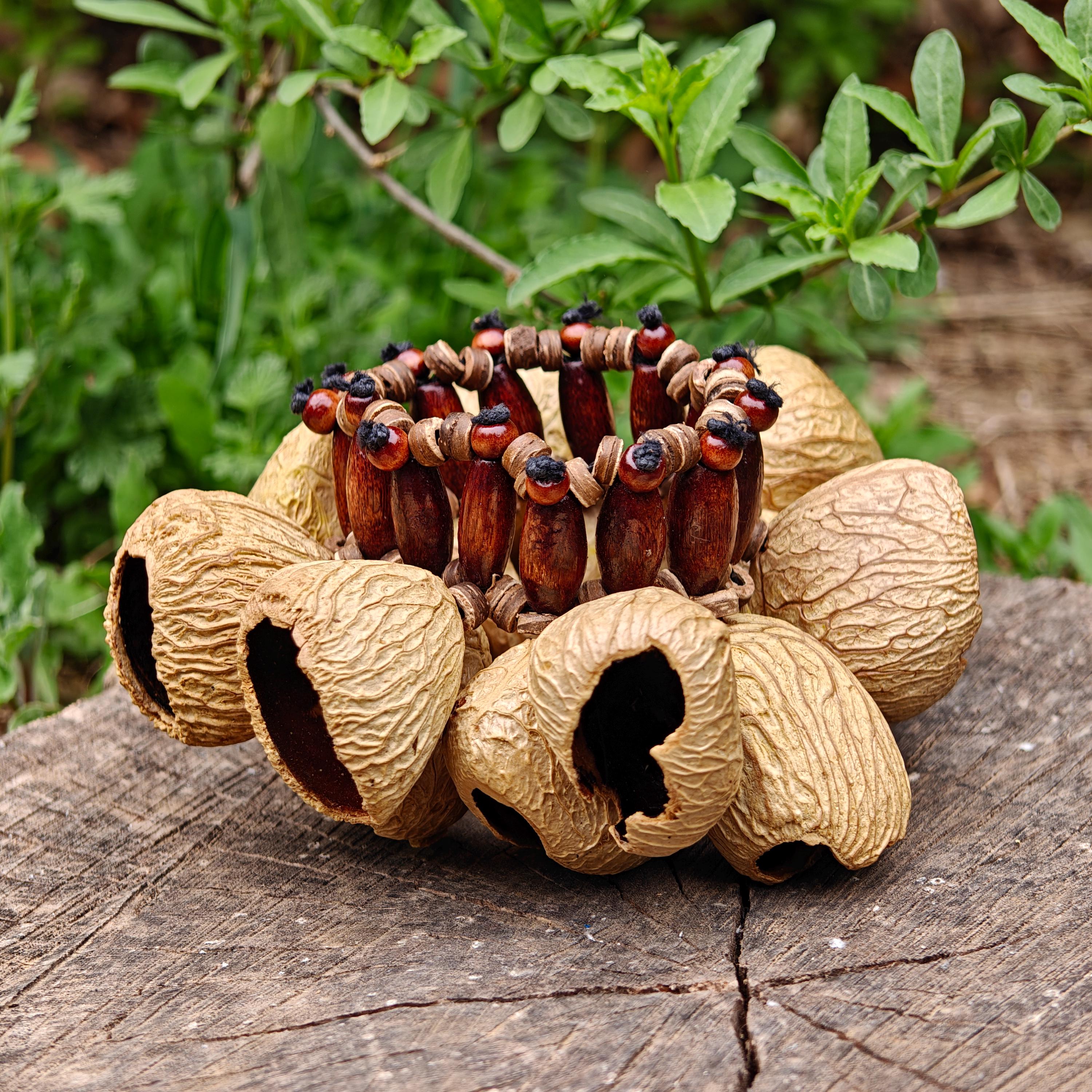 Nut Spirit Rattle Seed Pod Nut Bracelet Set, Tribal Boho Wooden Beaded Wrist Rattle - Etsy