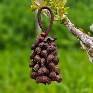 May include: A brown, handcrafted ornament with a loop for hanging. The ornament is made of many small, textured, brown seed pods, and a small red bead. The background is a blurred green with a tree branch.