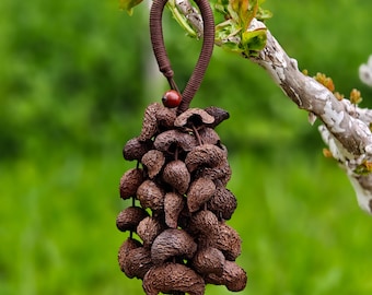Artisan Seed Pod Rattle, Crescent Moon Handle, Sound Healing Meditation Instrument