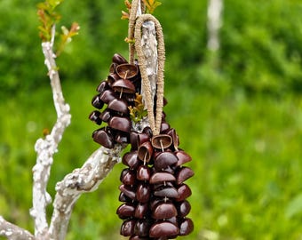 Sonajero artesanal de vainas de semillas Juju, agitador grande de 84 semillas, instrumento de sanación sonora.