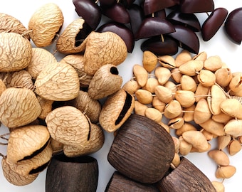 Natural Seed Pods for Shaker Crafting, Pre-Drilled Juju Chacha Pangi Salin Shells