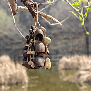 Puede incluir: Un carill&oacute;n de viento artesanal hecho de materiales naturales, incluyendo c&aacute;scaras de coco marrones y diversas vainas de semillas. El carill&oacute;n cuelga de una rama de &aacute;rbol, con un fondo borroso de un lago y follaje.