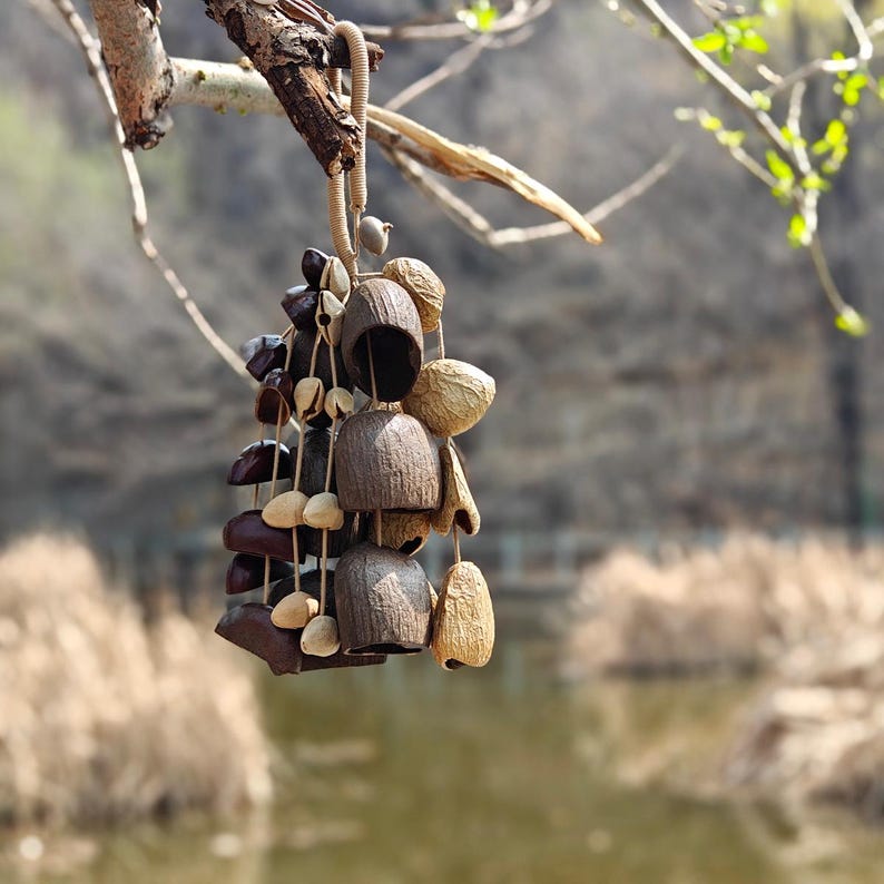 Puede incluir: Un carill&oacute;n de viento artesanal hecho de materiales naturales, incluyendo c&aacute;scaras de coco marrones y diversas vainas de semillas. El carill&oacute;n cuelga de una rama de &aacute;rbol, con un fondo borroso de un lago y follaje.