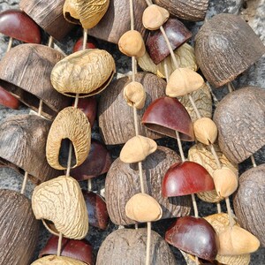 Puede incluir: Primer plano de una guirnalda natural con varios elementos org&aacute;nicos. La guirnalda incluye vainas y conchas de semillas marrones, beige y granates ensartadas con hilo. Las texturas var&iacute;an de lisas a rugosas, creando una est&eacute;tica r&uacute;stica.