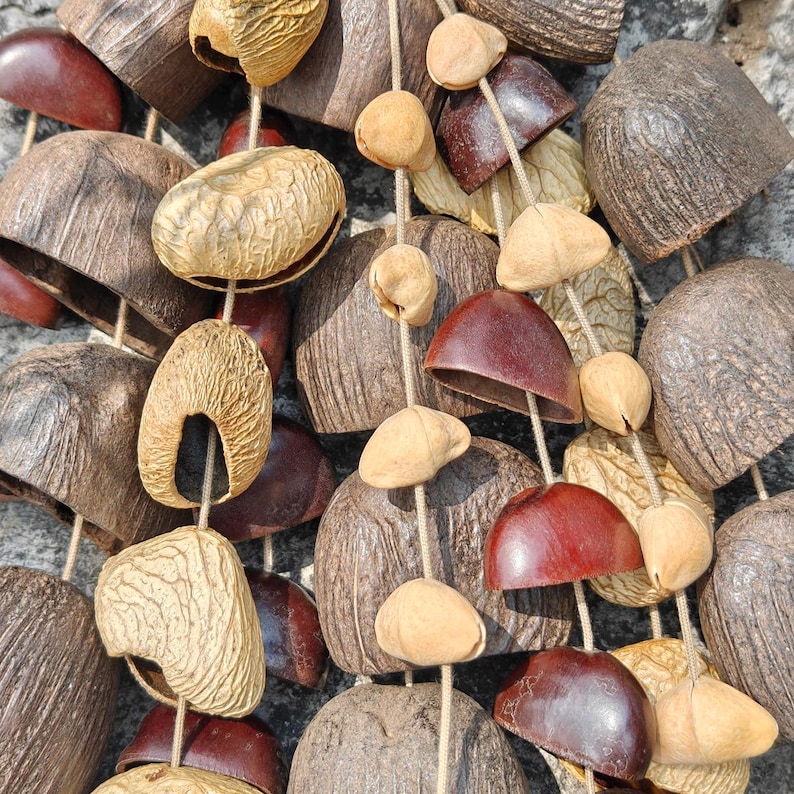 Puede incluir: Primer plano de una guirnalda natural con varios elementos org&aacute;nicos. La guirnalda incluye vainas y conchas de semillas marrones, beige y granates ensartadas con hilo. Las texturas var&iacute;an de lisas a rugosas, creando una est&eacute;tica r&uacute;stica.
