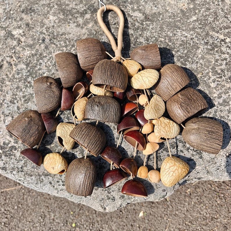 Puede incluir: Una colecci&oacute;n de vainas y conchas de semillas naturales, en tonos marr&oacute;n y beige, ensartadas con un cord&oacute;n beige. Las vainas var&iacute;an en forma y tama&ntilde;o, algunas se asemejan a peque&ntilde;as tazas. Adecuado para la decoraci&oacute;n del hogar.