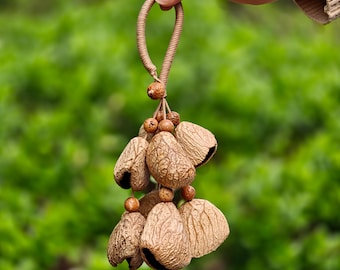 Pangi Chacha Seed Pod Charm, Natural Rattle for Bag Car, Shamanic Sound Art