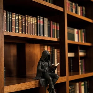 May include: A matte black figurine of a hooded figure wearing a long coat and trousers, sitting on the edge of a wooden shelf whilst holding and reading a small open book. The figure is positioned in front of a large wooden bookcase filled with books.