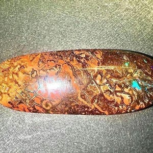 Op de afbeelding: Een ovaalvormige boulder-opaal edelsteen met een gepolijst oppervlak met een complexe matrix van diepe roodbruine en donkerbruine aardetinten, geaccentueerd door levendige flitsen van iriserend blauw en groen licht door de steen heen.