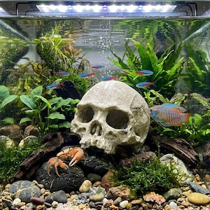 aquarium fish tank ornament resin skeleton skull diy skull accessory Fish Tank Decor Skull