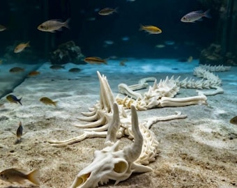 Decorazione per acquario a forma di scheletro di drago, ossa di drago, ornamento per acquario, accessorio per terrario a tema stregonesco.
