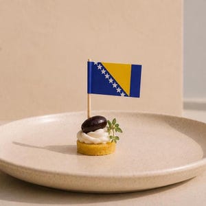 BOSNIA and HERZOGOVINA | DIY Print Cocktail Sticks | Flags Food Picks Party Picker Deco Cake Topper | 4x2,5cm | Digital instant Download