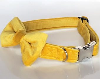 Yellow Velvet Collar with bow tie, dog collar bow tie, cat collar bow tie, mustard dog collar, yellow velvet dog collar, velvet dog bow tie