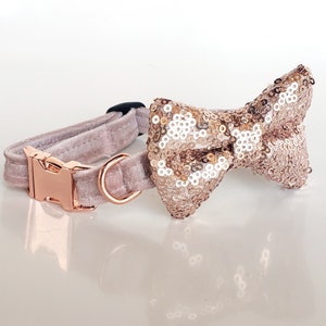 Puede incluir: Un collar de perro de terciopelo color oro rosa con una pajarita de lentejuelas color oro rosa.