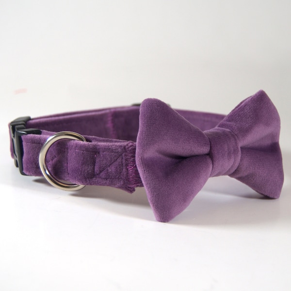 Purple Velvet Collar with bow tie, dog collar bow tie, cat collar bow tie, velvet dog collar, lavender dog bow tie, velvet dog bow tie
