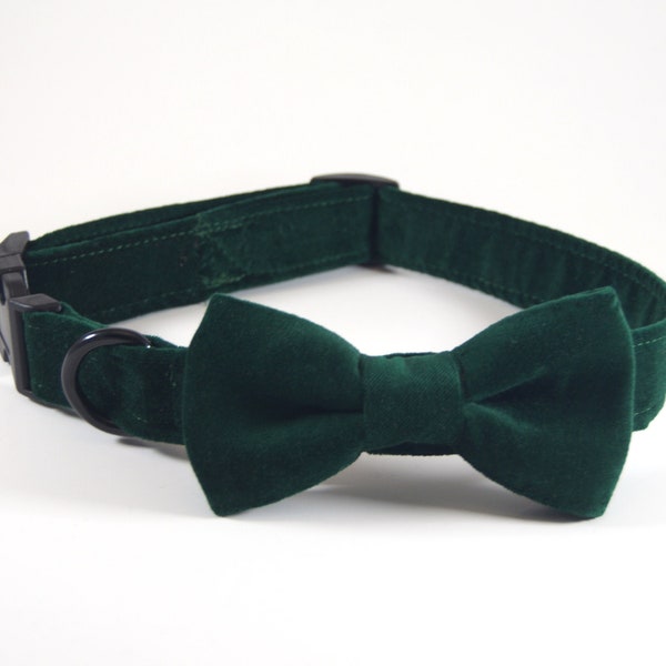 Green Velvet Collar with bow tie, dog collar bow tie, cat collar bow tie, christmas dog collar, hunter green dog bow tie, velvet dog bow tie