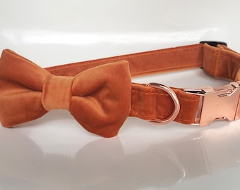 Orange Velvet Collar with bow tie, dog collar bow tie, Rose gold dog collar, rust velvet dog collar, orange dog bow tie, velvet dog bow tie