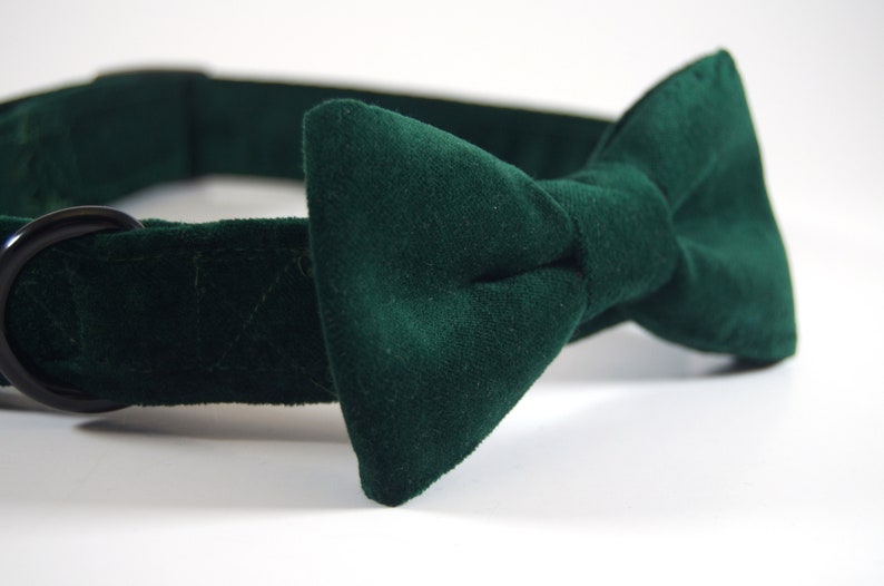 Green Velvet Collar With Bow Tie Dog Collar Bow Tie Cat Etsy