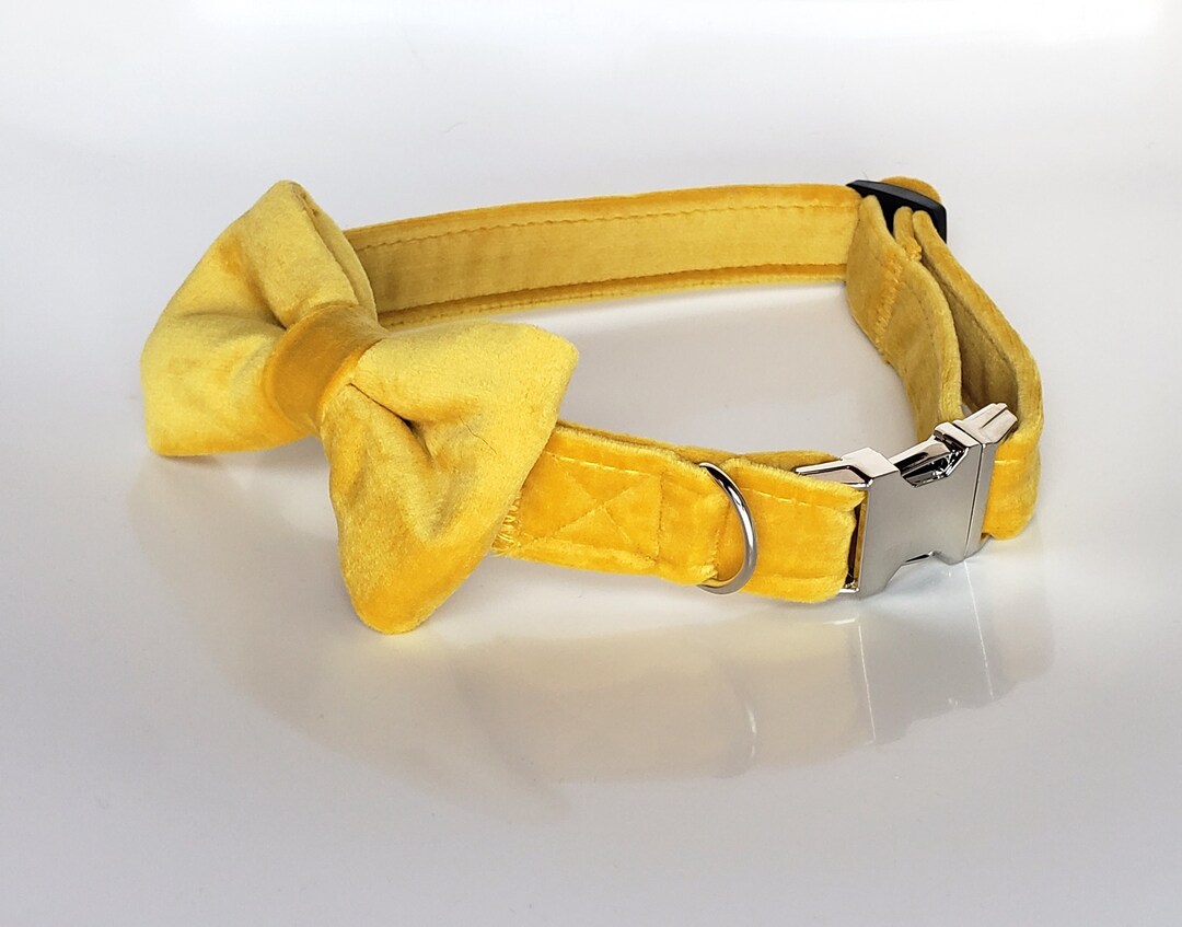 Yellow Velvet Collar With Bow Tie Dog Collar Bow Tie Cat Etsy