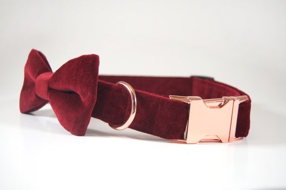 Burgundy dog bow tie sales