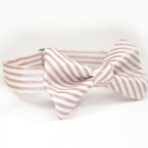 Rose gold bow tie, rose gold stripe bow tie, rose gold and white bow tie, rose bow tie, metallic rose bow tie, metallic rose gold, blush