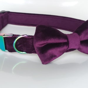 Purple Velvet Collar with bow tie, dog collar bow tie, cat collar bow tie, plum dog collar, velvet dog bow tie, purple velvet collar, velvet
