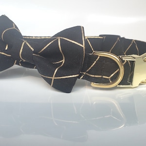 Black and Gold Collar & bow tie, dog collar bow tie, cat collar bow tie, black and gold dog collar, black gold bow tie, Gold dog collar
