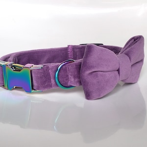 Lavender Velvet Collar with bow tie, dog collar bow tie, cat collar bow tie, purple dog collar, velvet dog bow tie, purple velvet collar