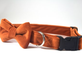 Orange Velvet Collar with bow tie, dog collar bow tie, orange velvet collar, velvet collar, orange collar, velvet dog collar, rust collar