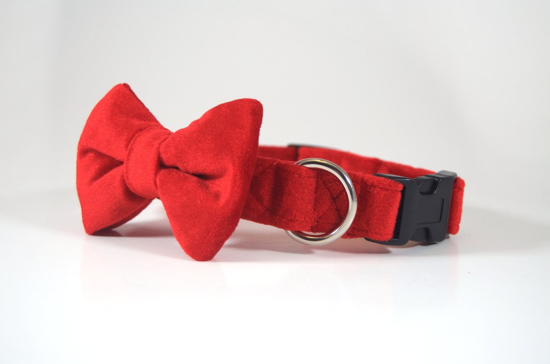 Red Velvet Collar With Bow Tie, Dog Collar Bow Tie, Cat Collar Bow Tie