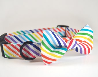 Rainbow Collar with bow tie, dog collar bow tie, cat collar bow tie, rainbow dog collar, rainbow bow tie, pride dog collar, pride cat collar