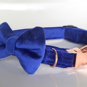 Royal Blue Velvet Collar with bow tie, dog collar bow tie, blue velvet collar, velvet collar, cobalt blue collar, velvet dog collar, velvet