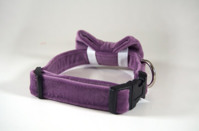 Purple Velvet Collar with bow tie dog collar bow tie cat Etsy