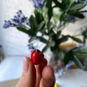 Puede incluir: Un pequeño dije en forma de pimiento rojo brillante. El dije se sostiene en una mano, con un fondo borroso de flores y vegetación moradas. El pimiento tiene una superficie texturizada y un pequeño tallo verde.