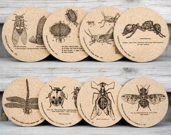 Cork Coasters - Insects - Entomology -  Set of 4