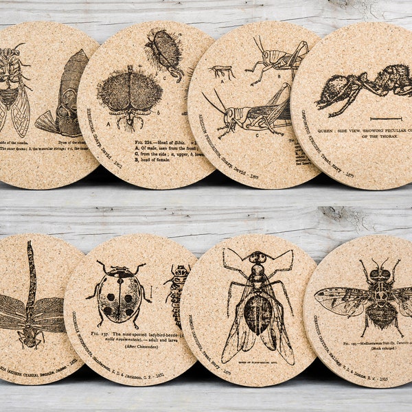 Cork Coasters - Insects - Entomology -  Set of 4