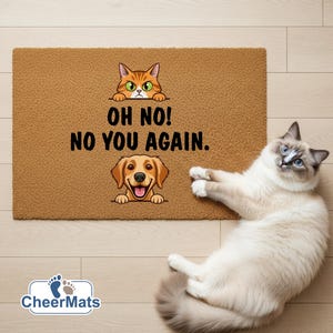May include: A rectangular doormat with the text "OH NO! NO YOU AGAIN." features a cartoon cat and dog. The cat is orange with green eyes, and the dog is golden. A fluffy cat with blue eyes is lying on the floor next to the mat.
