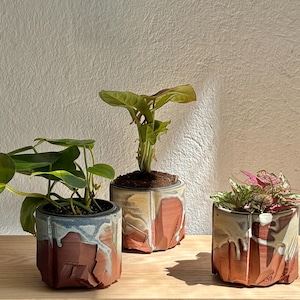 Può includere: Tre vasi di ceramica con piante. I vasi sono marroni, beige e blu con un design geometrico strutturato. Le piante hanno foglie verdi e variano per dimensioni e forma, aggiungendo un elemento naturale alla composizione.