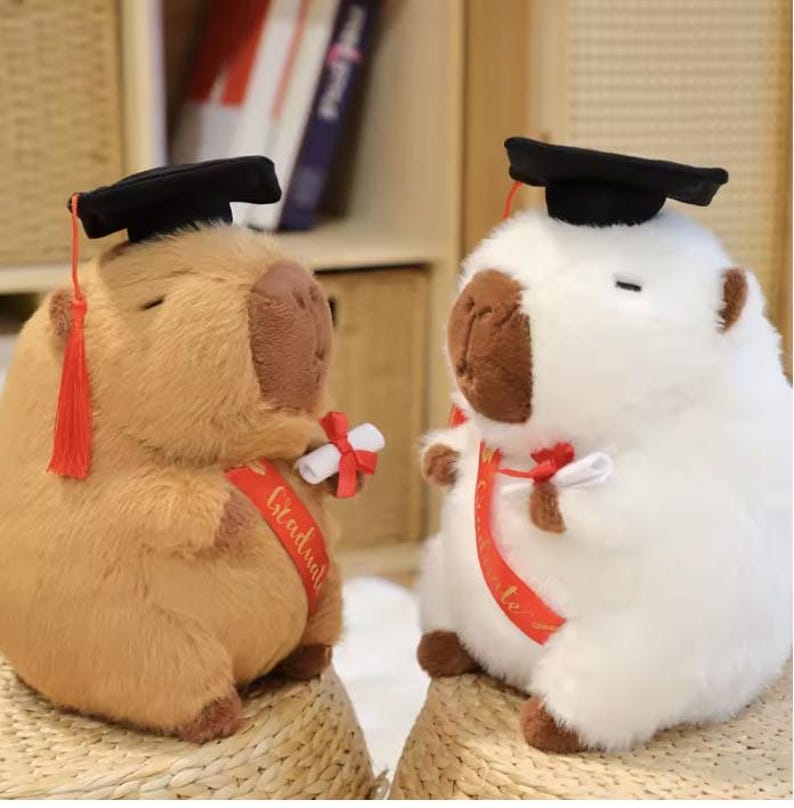 Graduation Capybara Plush Toy – Cute Graduation Gift, Stuffed Animal ...