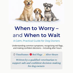 May include: A book cover featuring watercolour illustrations of a golden retriever, a beagle, and a schnauzer. The title reads "When to Worry - and When to Wait", with the subtitle "A Calm, Practical Guide for Dog Owners".